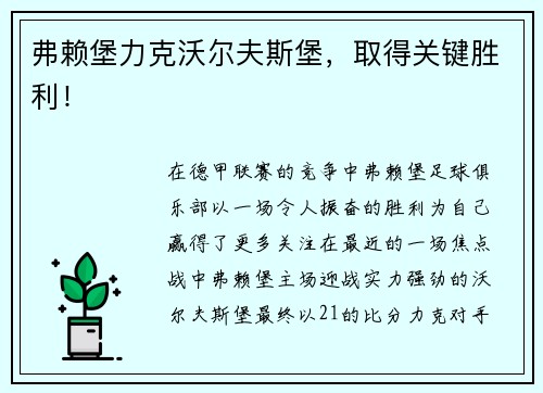 弗赖堡力克沃尔夫斯堡，取得关键胜利！